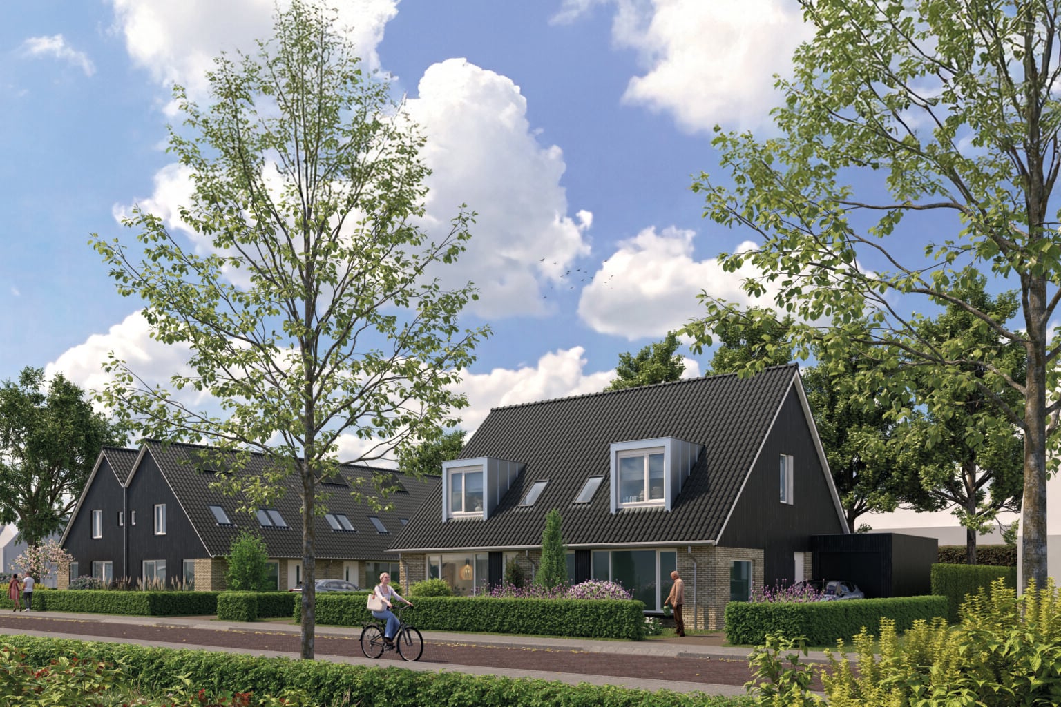 project Bakhuizen